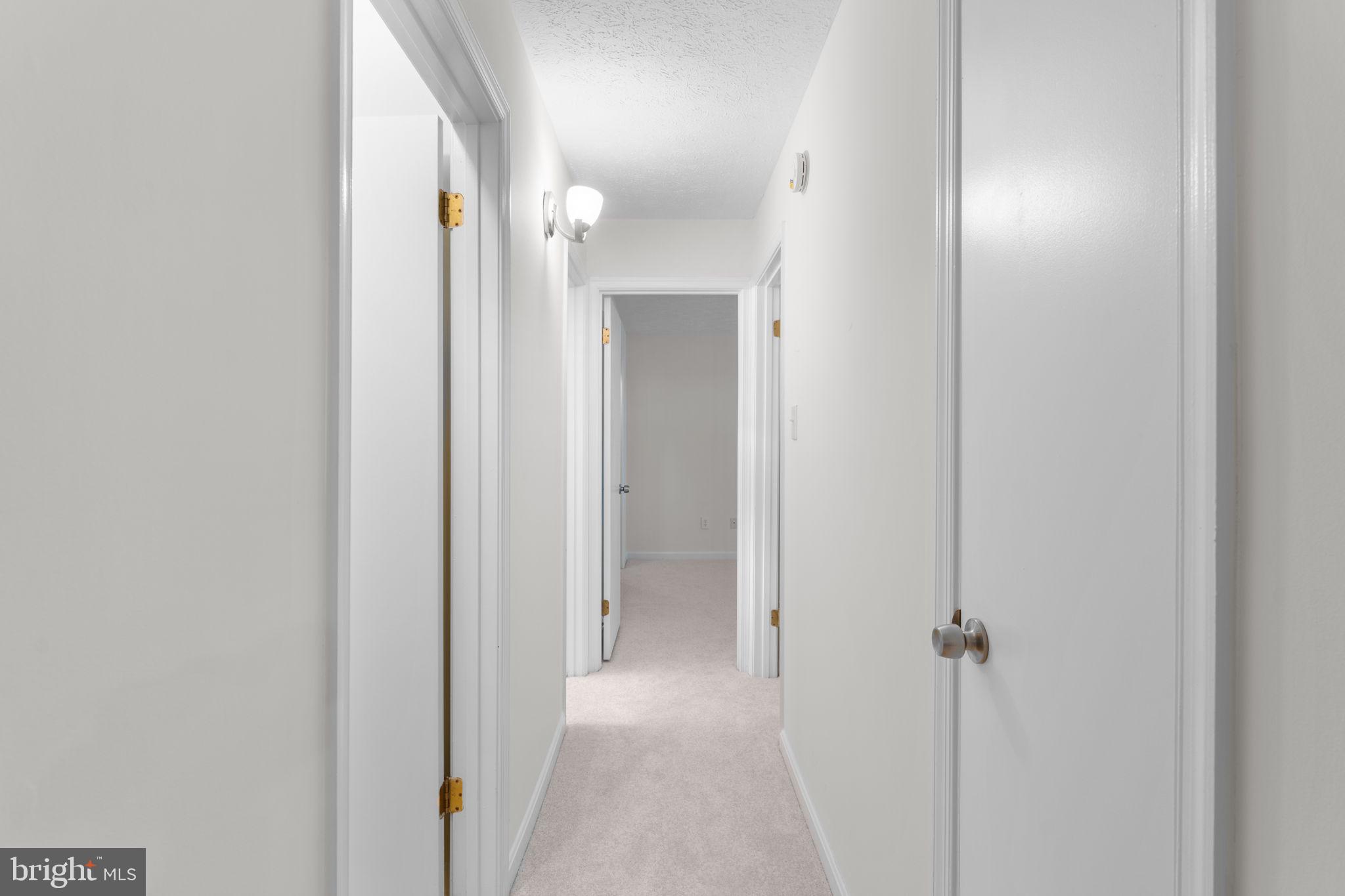 10013 Oakton Terrace Road Oakton, VA 22124 - Photo 21 of 52 Hallway with fresh paint