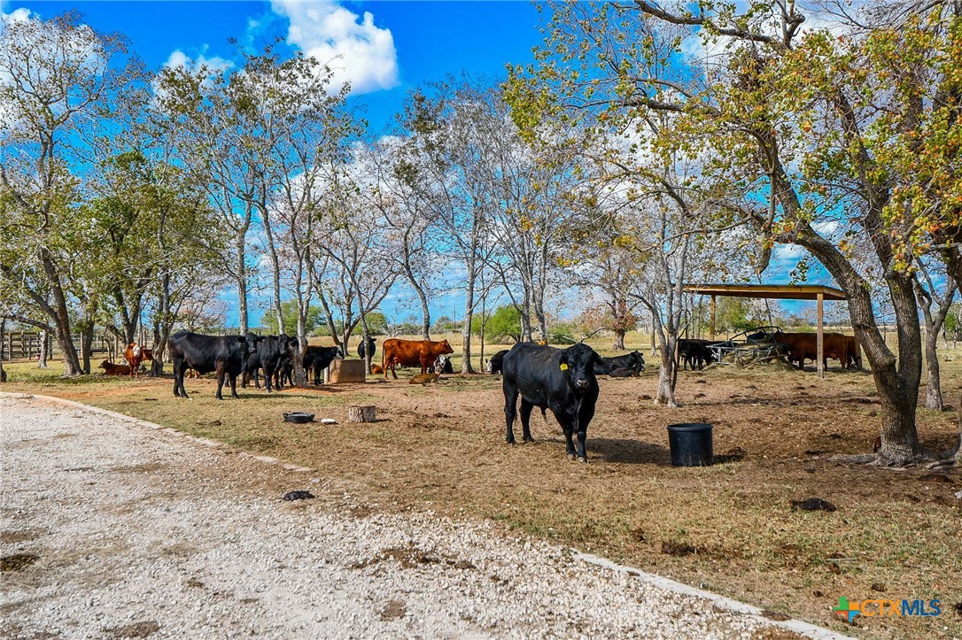 1093 Sunderman Road Alleyton, TX 78935 - Photo 15 of 48 a view of outdoor space with seating area