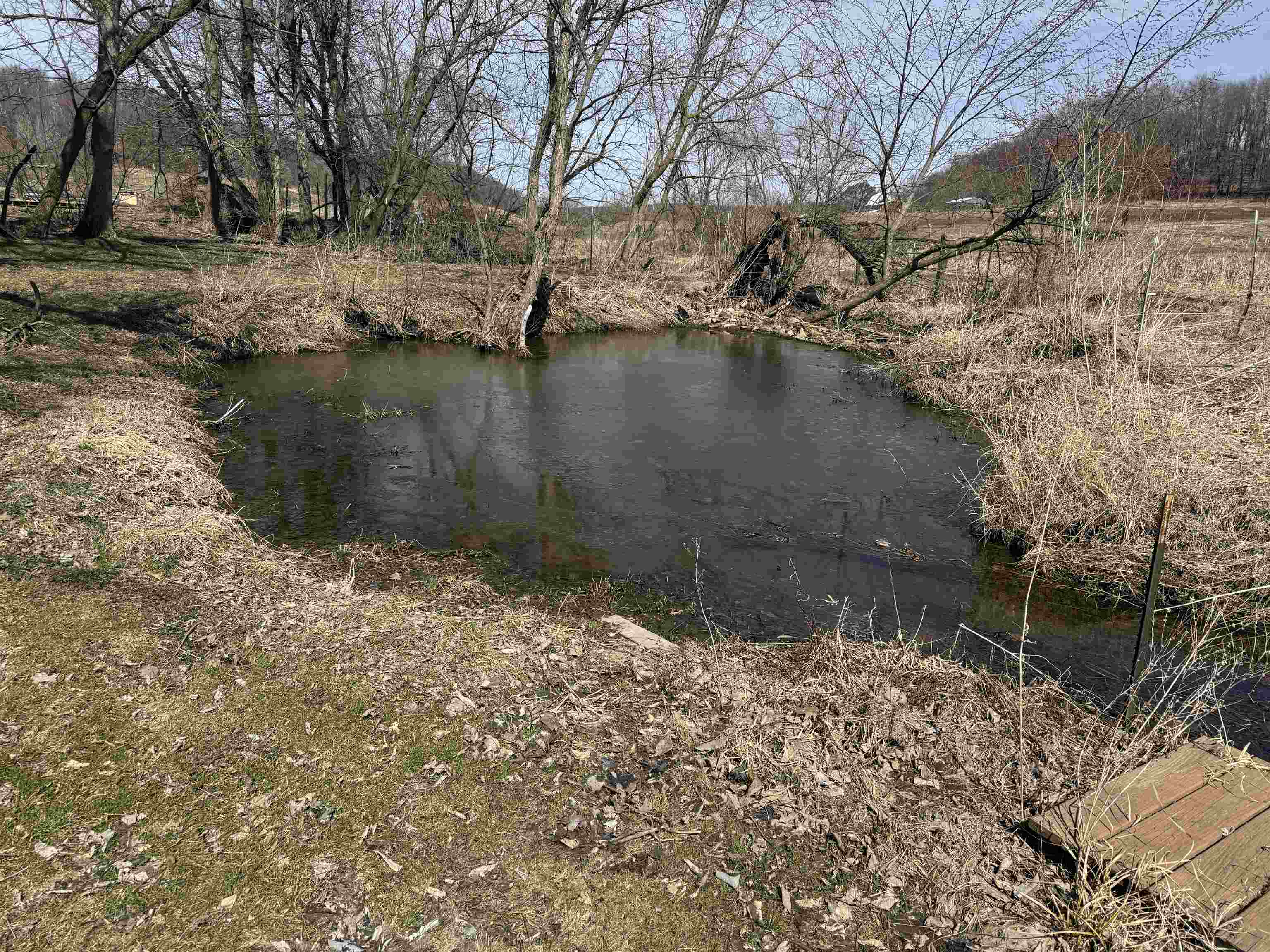 S6720 Eli Valley Road Loganville, WI 53943 - Photo 63 of 67