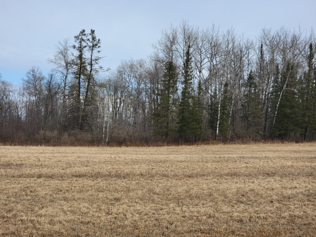 On Town Line Road Ojibwa, WI 54862 - Photo 4 of 4