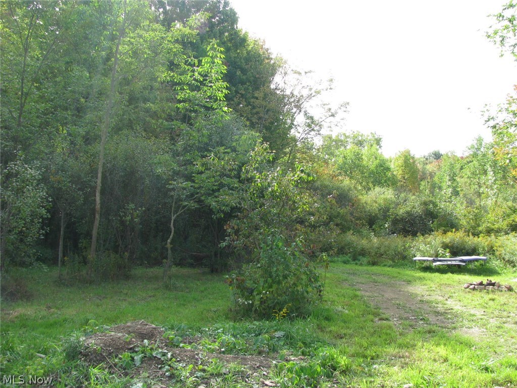 V/l Sumner Road Thompson, OH 44086 - Photo 5 of 17