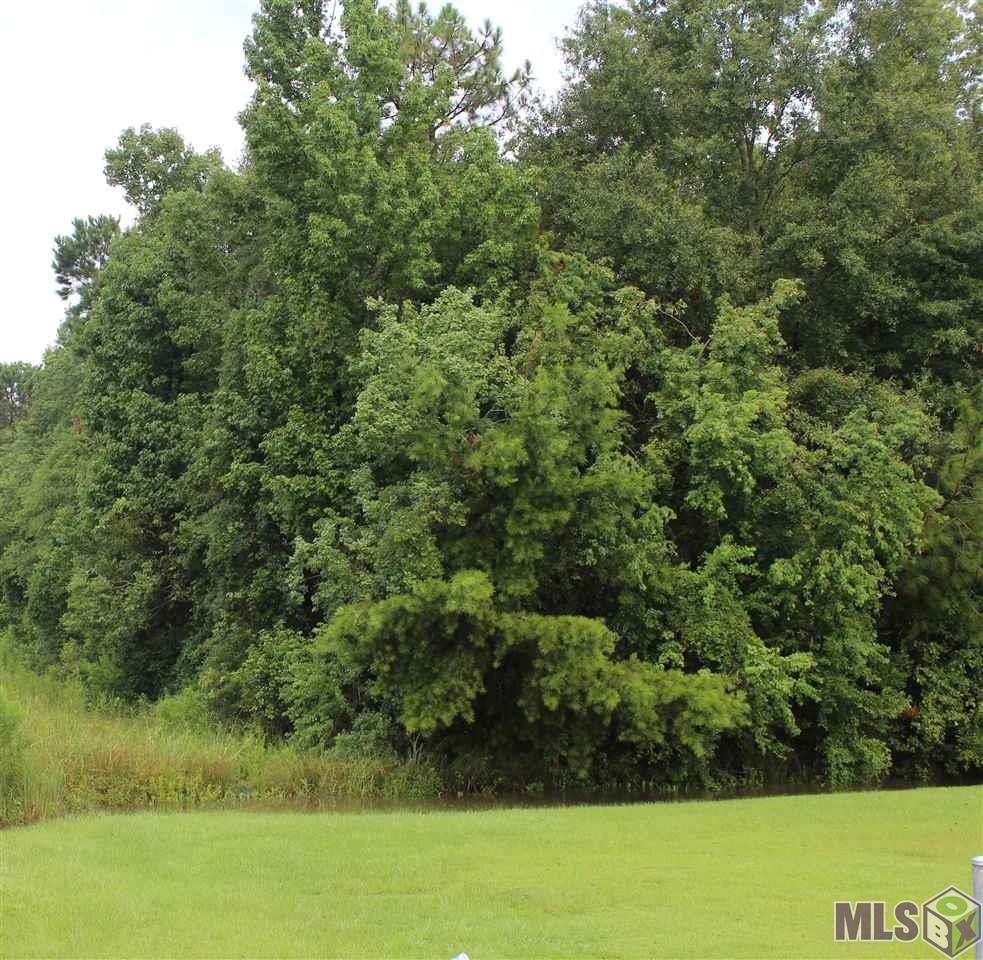 B Lockhart Road Denham Springs, LA 70726 - Photo 1 of 5 Gallery Image 1