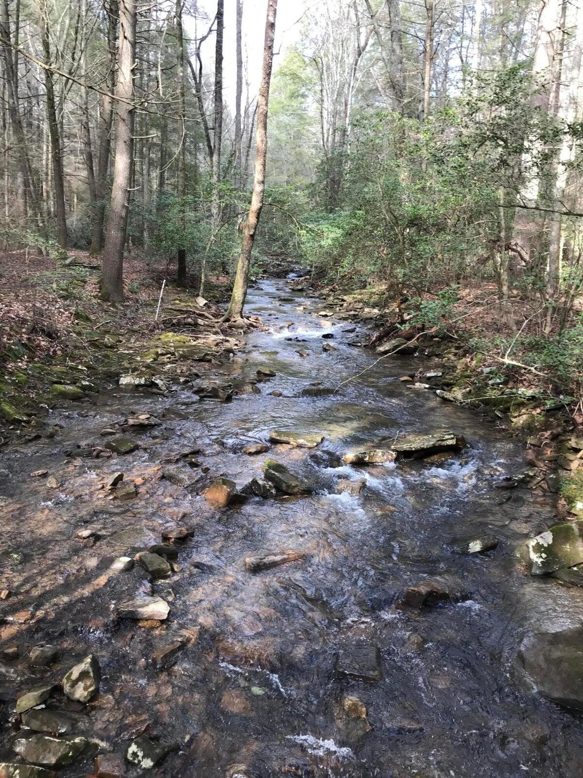 5 Hobbstown Road Dunlap, TN 37327 - Photo 5 of 23 IMG_1483