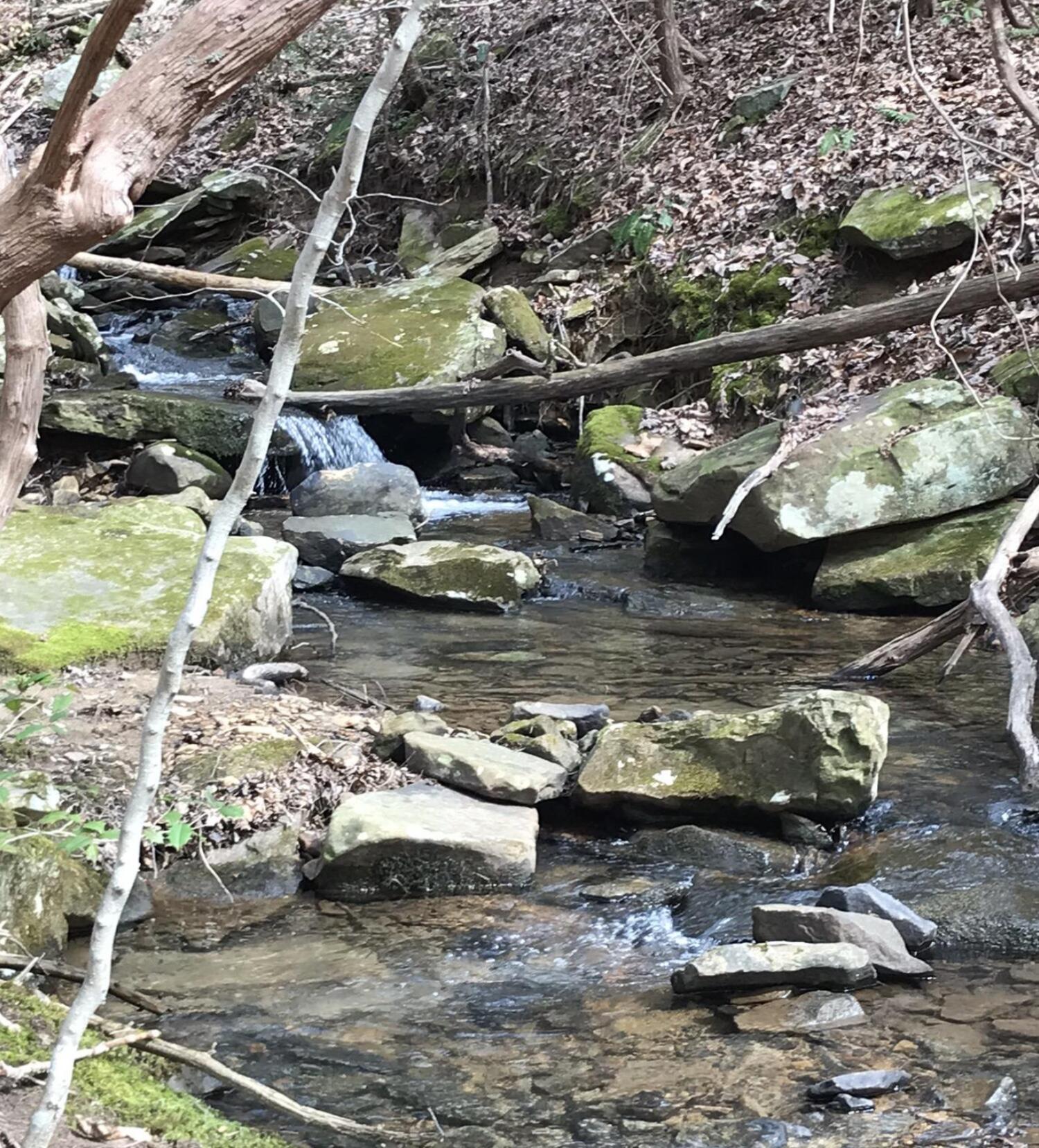 5 Hobbstown Road Dunlap, TN 37327 - Photo 7 of 23 IMG_2219