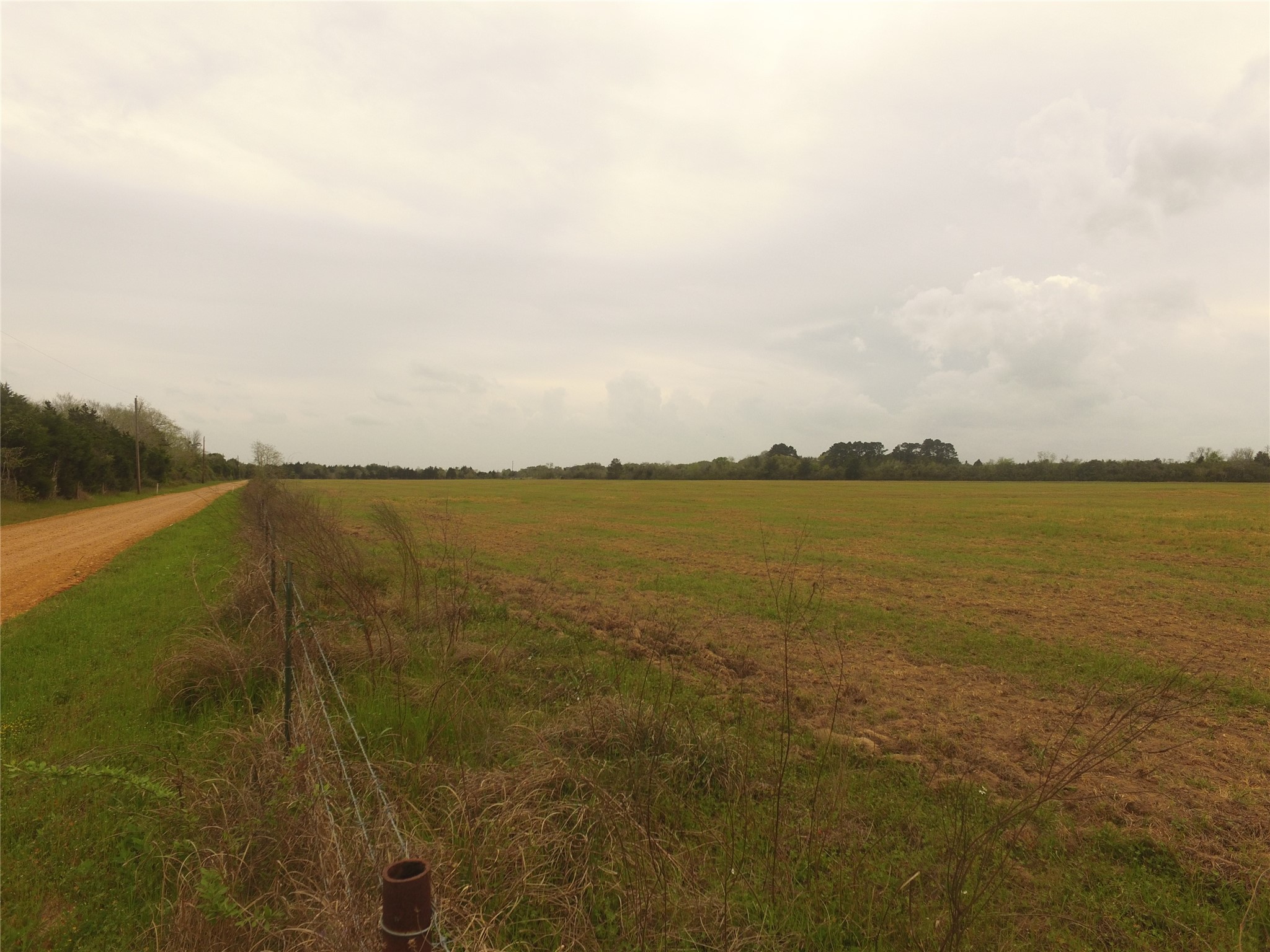 Tbd Kloss Road Sealy, TX 77474 - Photo 14 of 16