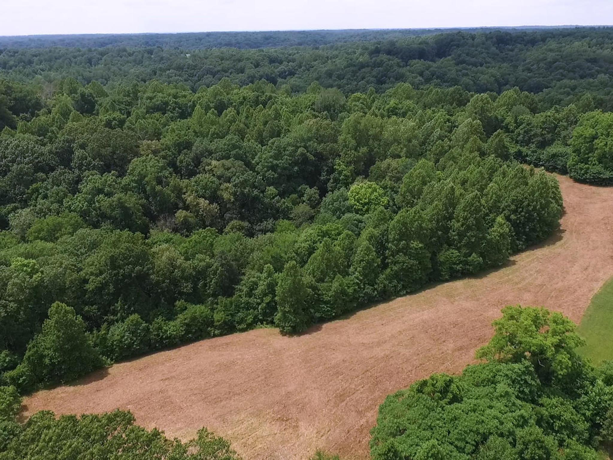 0 Leipers Creek Road Santa Fe, TN 38482 - Photo 8 of 10 Flat area with amazing views, above the road. Build there?
