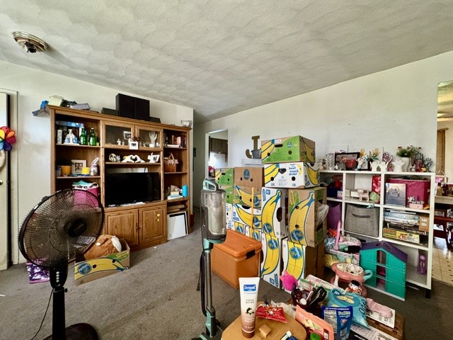 3920 Jasper Road Jamestown, OH 45335 - Photo 11 of 32