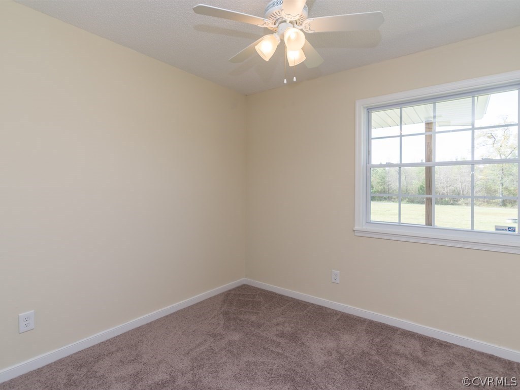 8406 Holdsworth Road Disputanta, VA 23842 - Photo 17 of 19