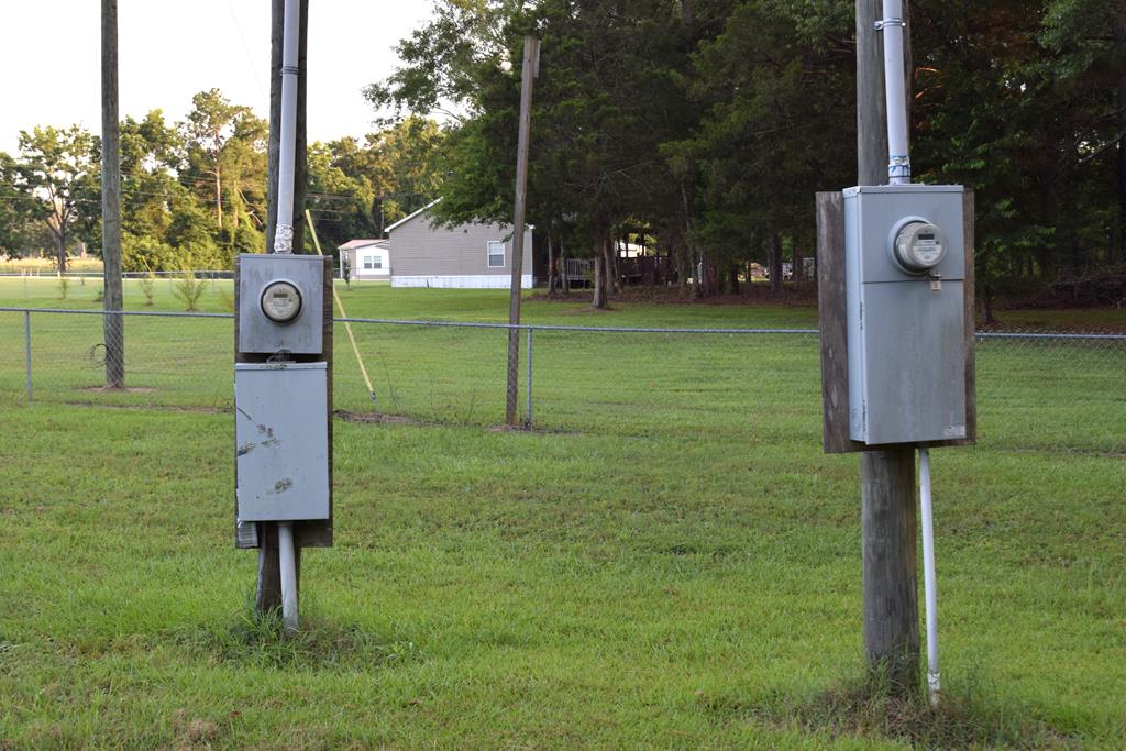 7252 County Road 49 Slocomb, AL 36375 - Photo 36 of 75