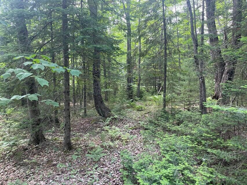 80 Gammon Road Peru, ME 04290 - Photo 12 of 18