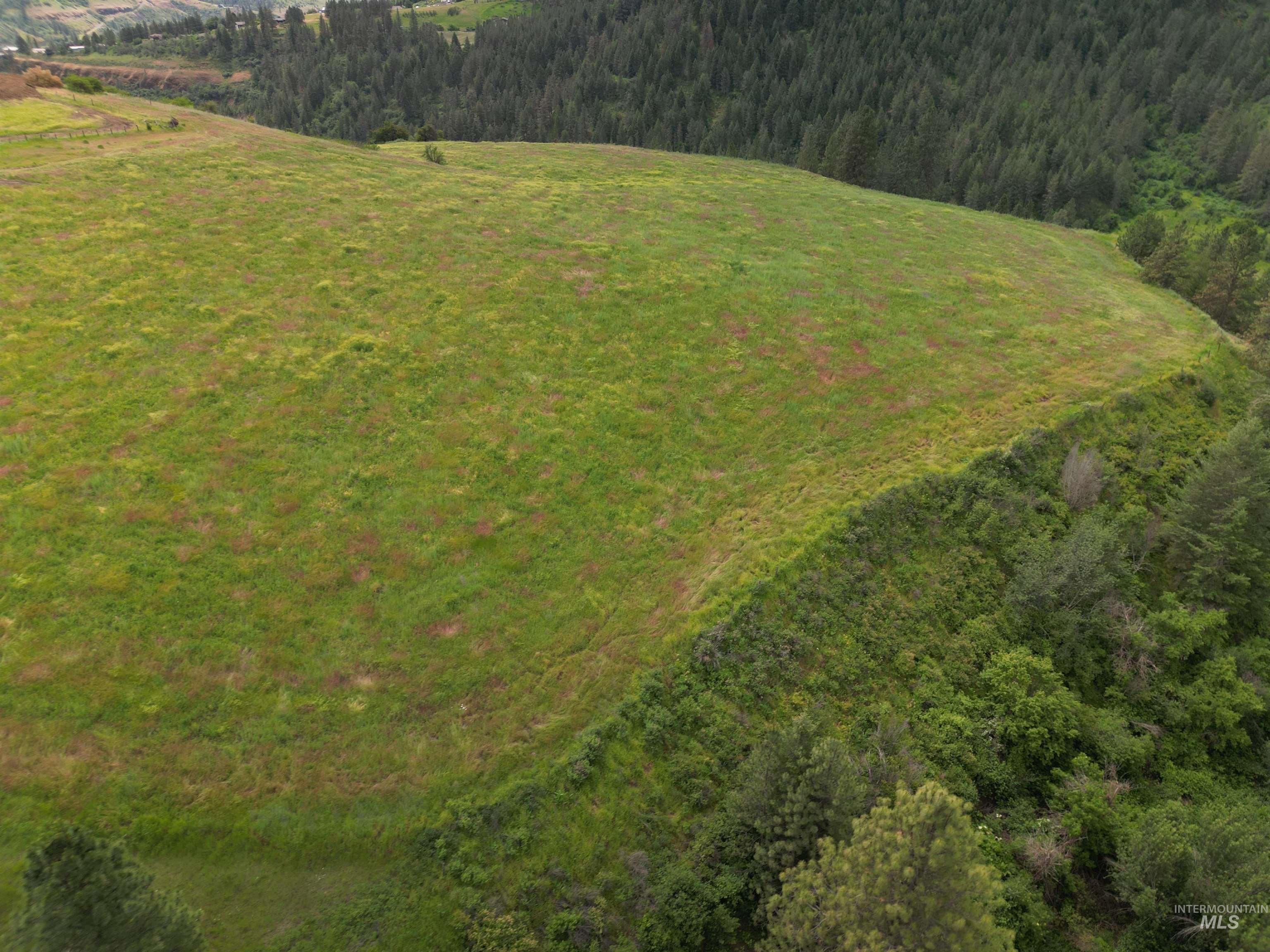 0 American Ridge Road Kendrick, ID 83537 - Photo 4 of 21