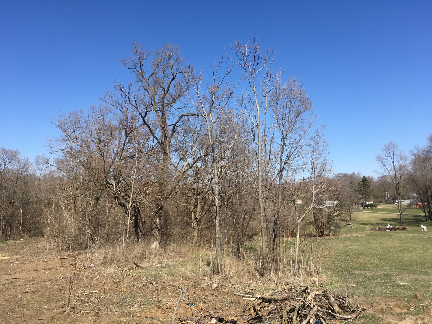 450 West Southmor Road Morris, IL 60450 - Photo 1 of 4 a view of a yard with trees