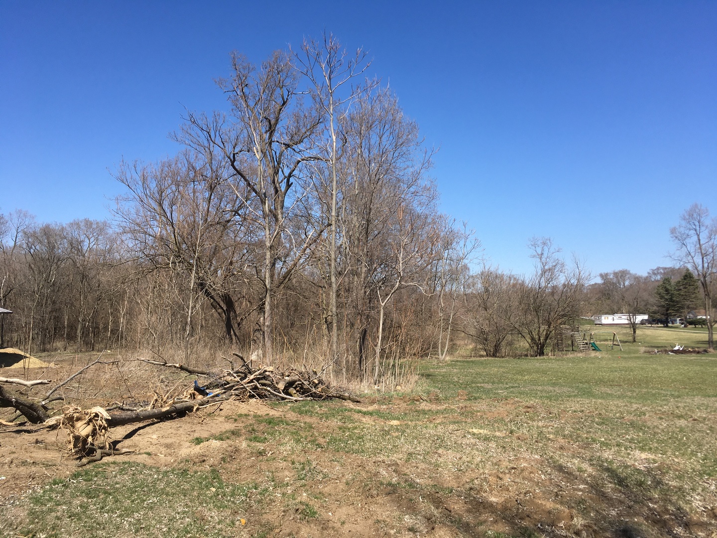 450 West Southmor Road Morris, IL 60450 - Photo 2 of 4 a view of dirt field with trees in background
