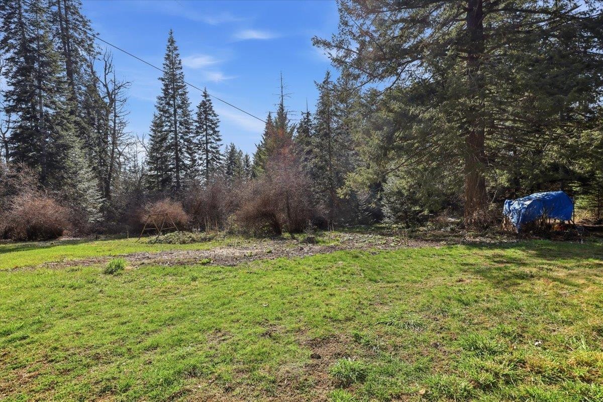 2541 Nicholson Road Elk, WA 99009 - Photo 28 of 36