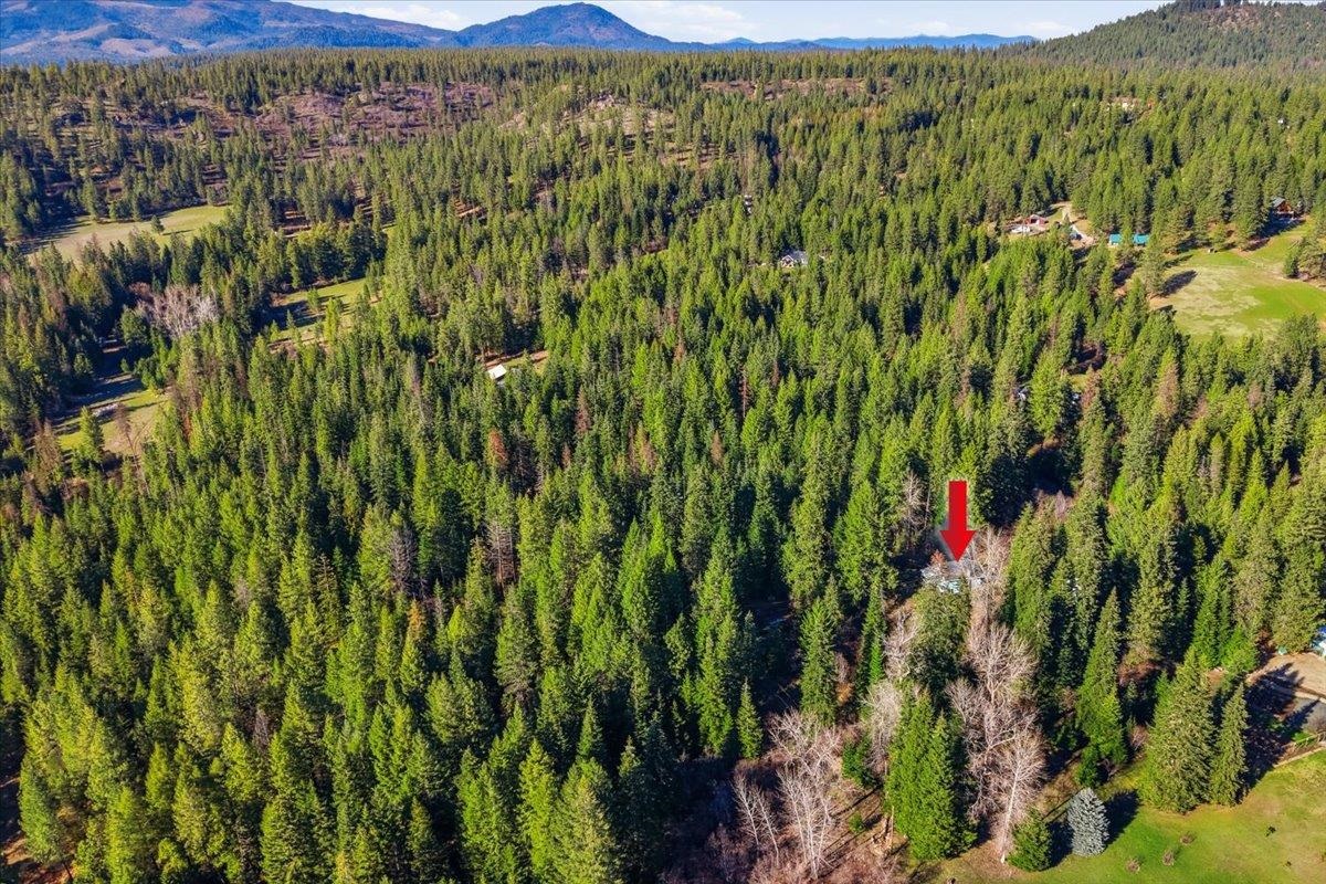 2541 Nicholson Road Elk, WA 99009 - Photo 33 of 36