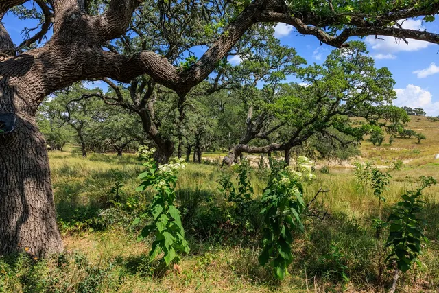 $399,000 | 189 Fallen Acorn Drive, Unit 21, Blanco, TX 78606