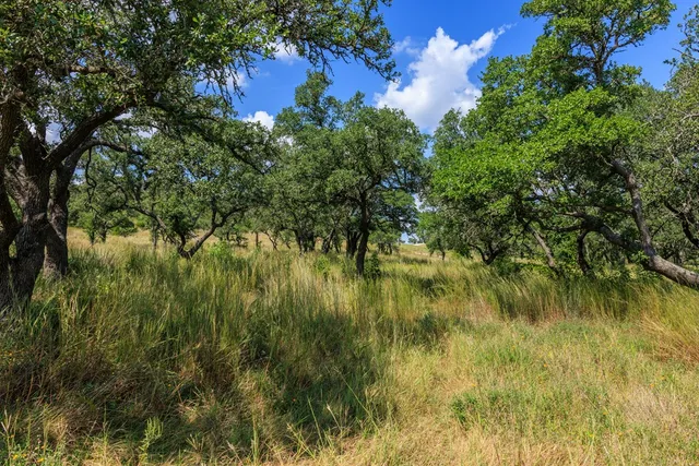 $399,000 | 189 Fallen Acorn Drive, Unit 21, Blanco, TX 78606