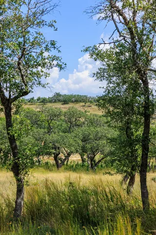 $399,000 | 189 Fallen Acorn Drive, Unit 21, Blanco, TX 78606