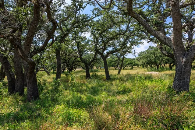 $399,000 | 189 Fallen Acorn Drive, Unit 21, Blanco, TX 78606