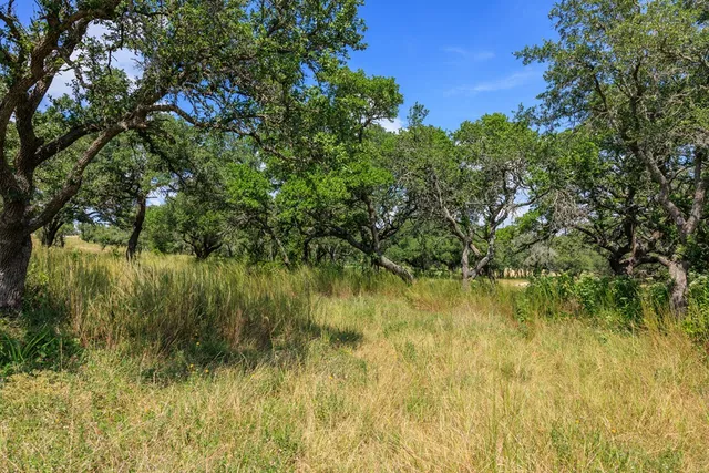 $399,000 | 189 Fallen Acorn Drive, Unit 21, Blanco, TX 78606