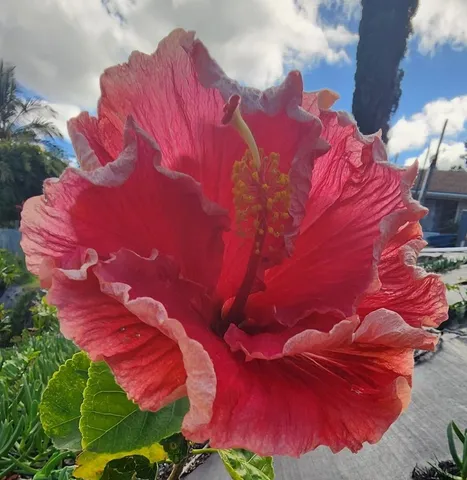 $1,100,000 | 583 Laie Drive, Unit A, Makawao, HI 96768