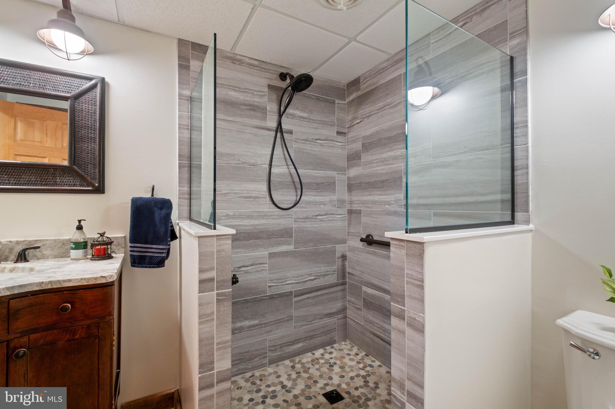 125 Ruta Lane Swanton, MD 21561 - Photo 44 of 77 Lower Level Full Bath with ADA Features