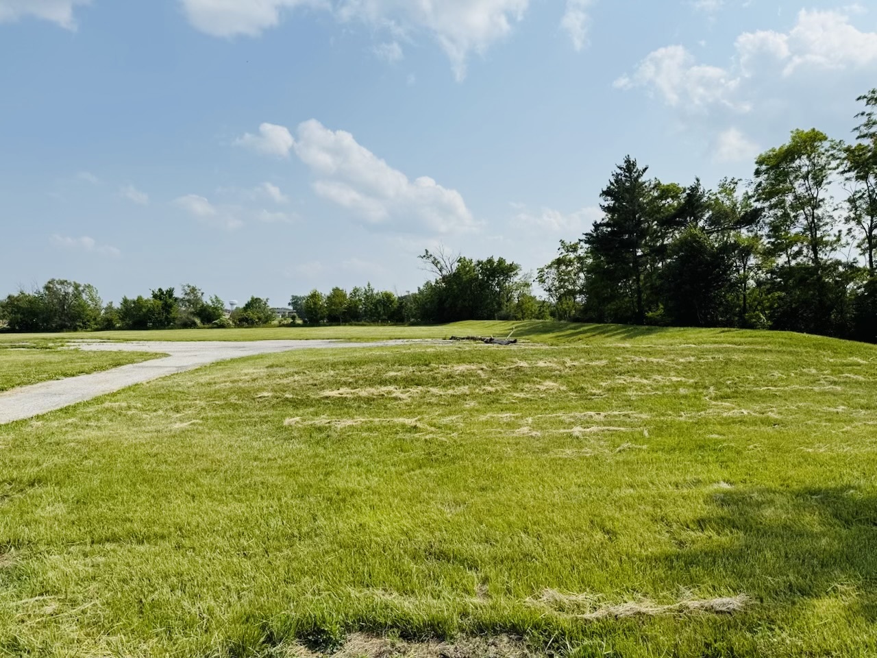19501 South Torrence Avenue Chicago Heights, IL 60411 - Photo 1 of 2 a view of a water fountain and a big yard