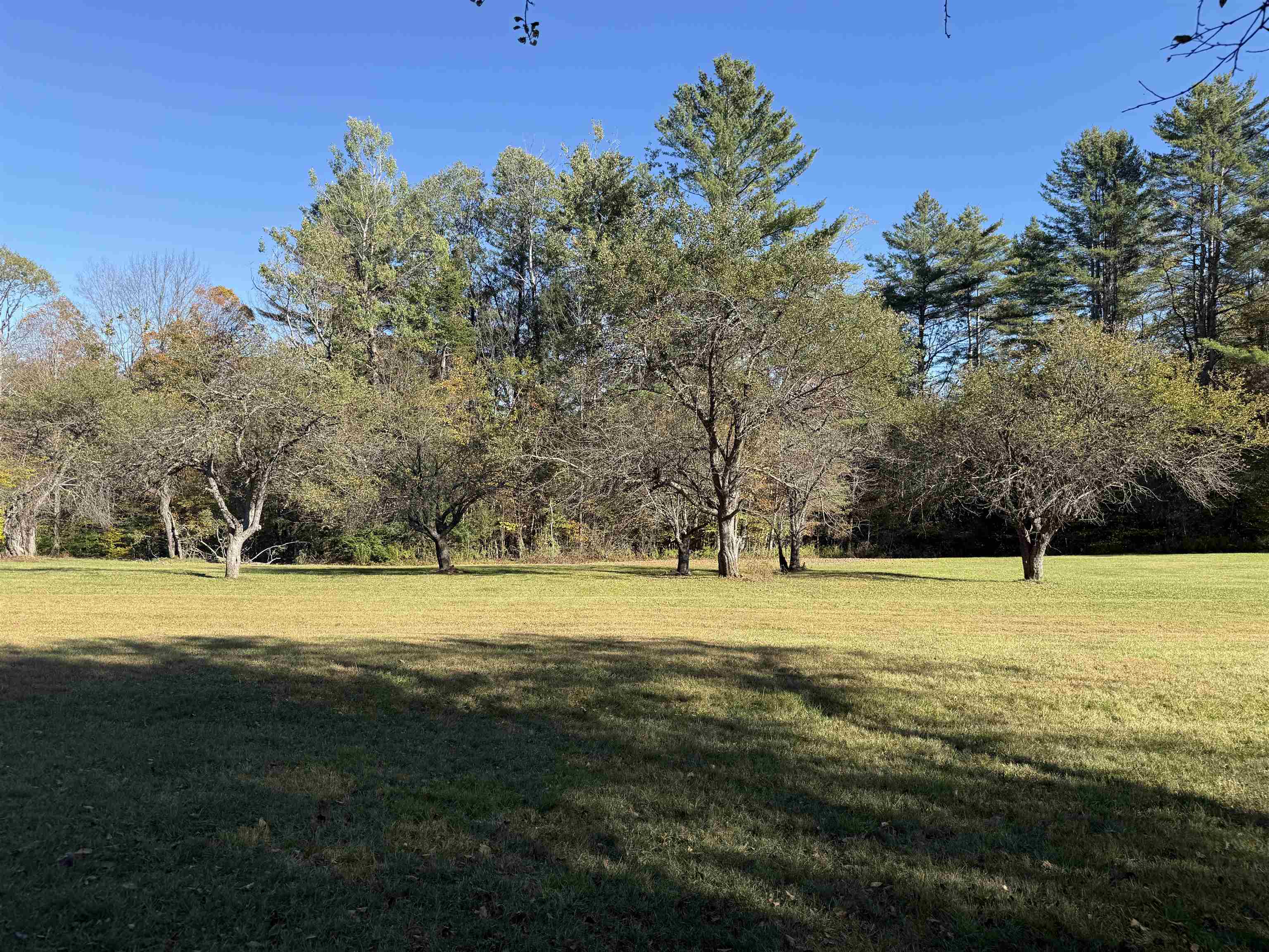 104 Karen Day Road Halifax, VT 05342 - Photo 19 of 35