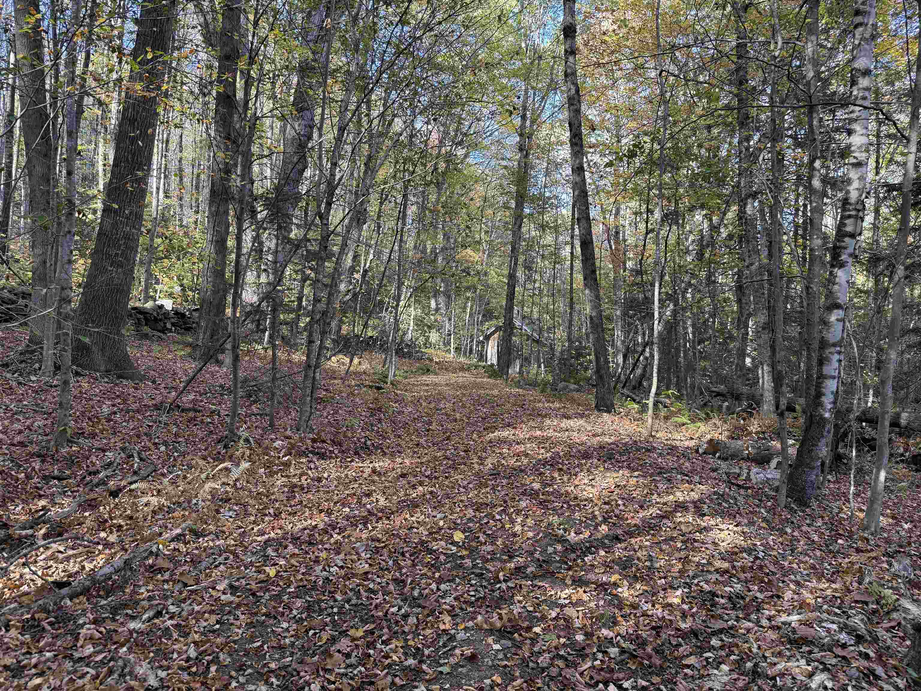 104 Karen Day Road Halifax, VT 05342 - Photo 24 of 35
