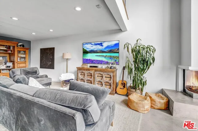 a living room with furniture potted plant and a flat screen tv