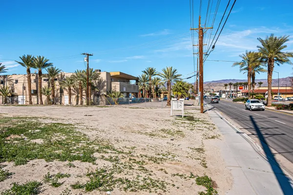 a view of tall palm trees