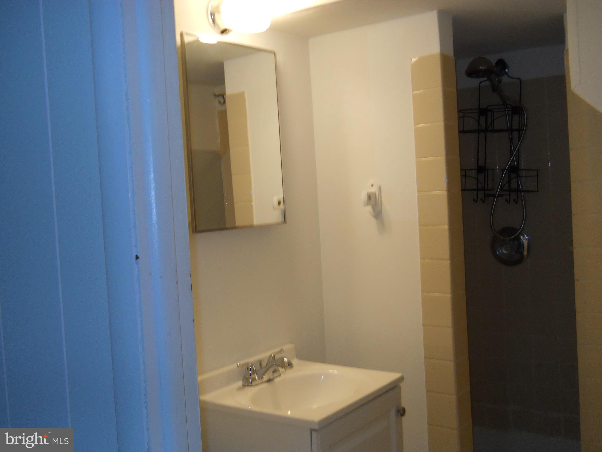 12323 Judson Road Silver Spring, MD 20906 - Photo 41 of 52 LOWER LEVEL BTHROOM