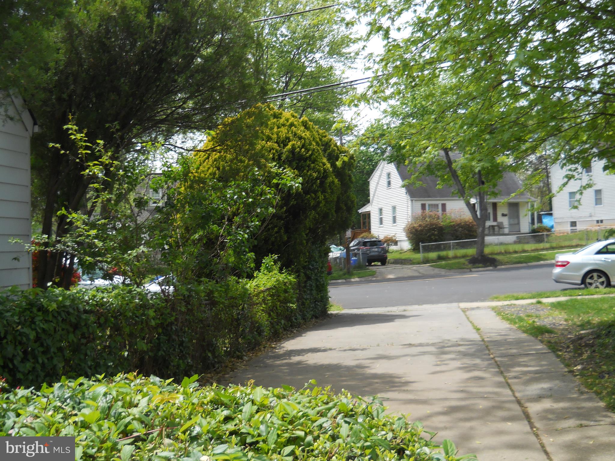 12323 Judson Road Silver Spring, MD 20906 - Photo 46 of 52 SIDE YARD WITH DRIVEWAY