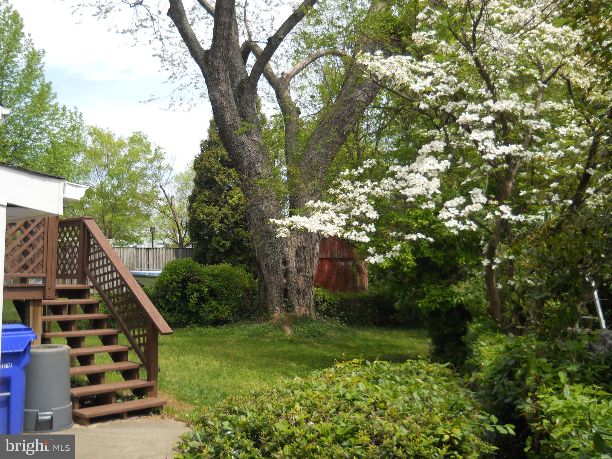 12323 Judson Road Silver Spring, MD 20906 - Photo 48 of 52 BACKYARD