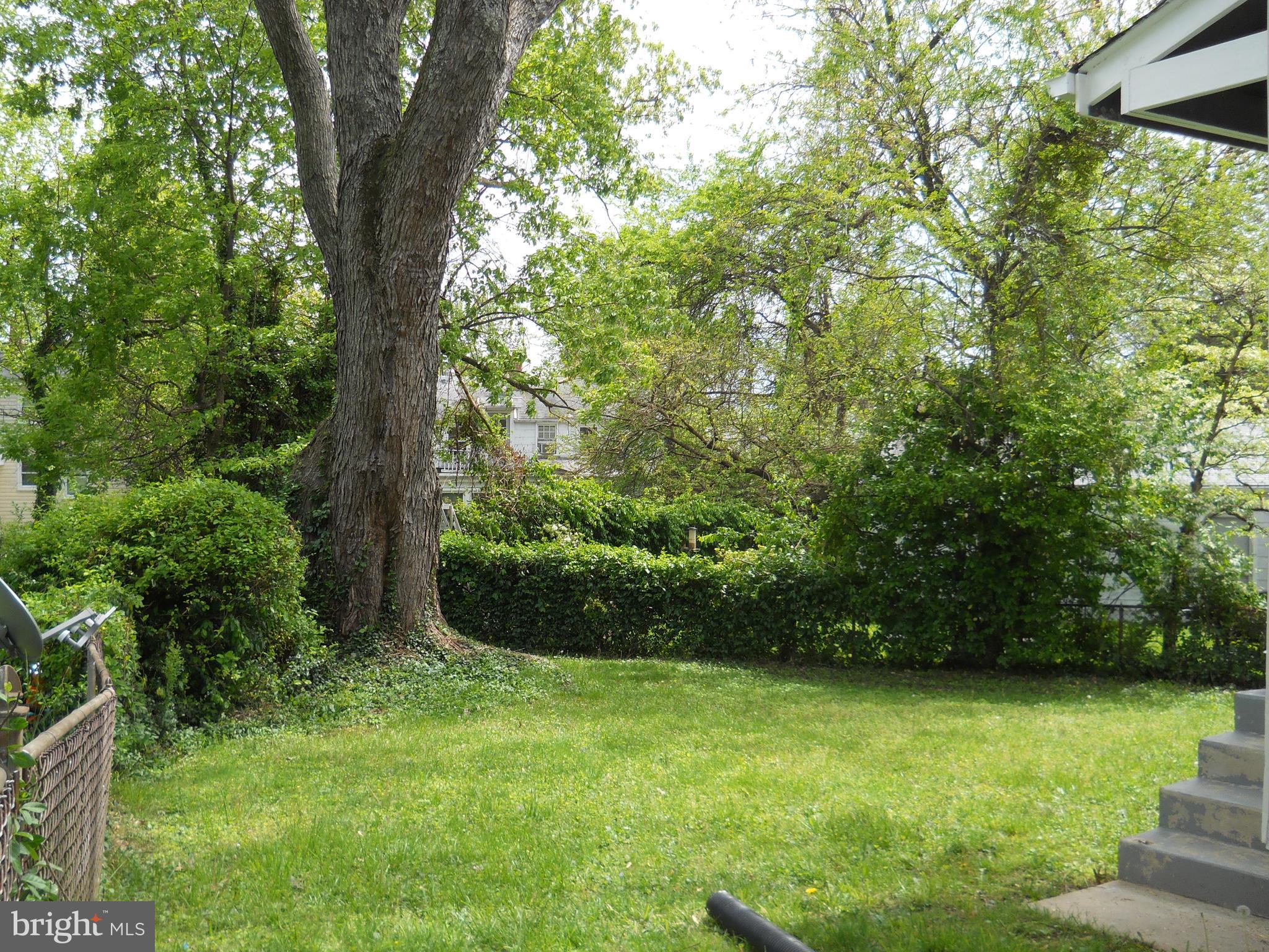 12323 Judson Road Silver Spring, MD 20906 - Photo 49 of 52 BACKYARD