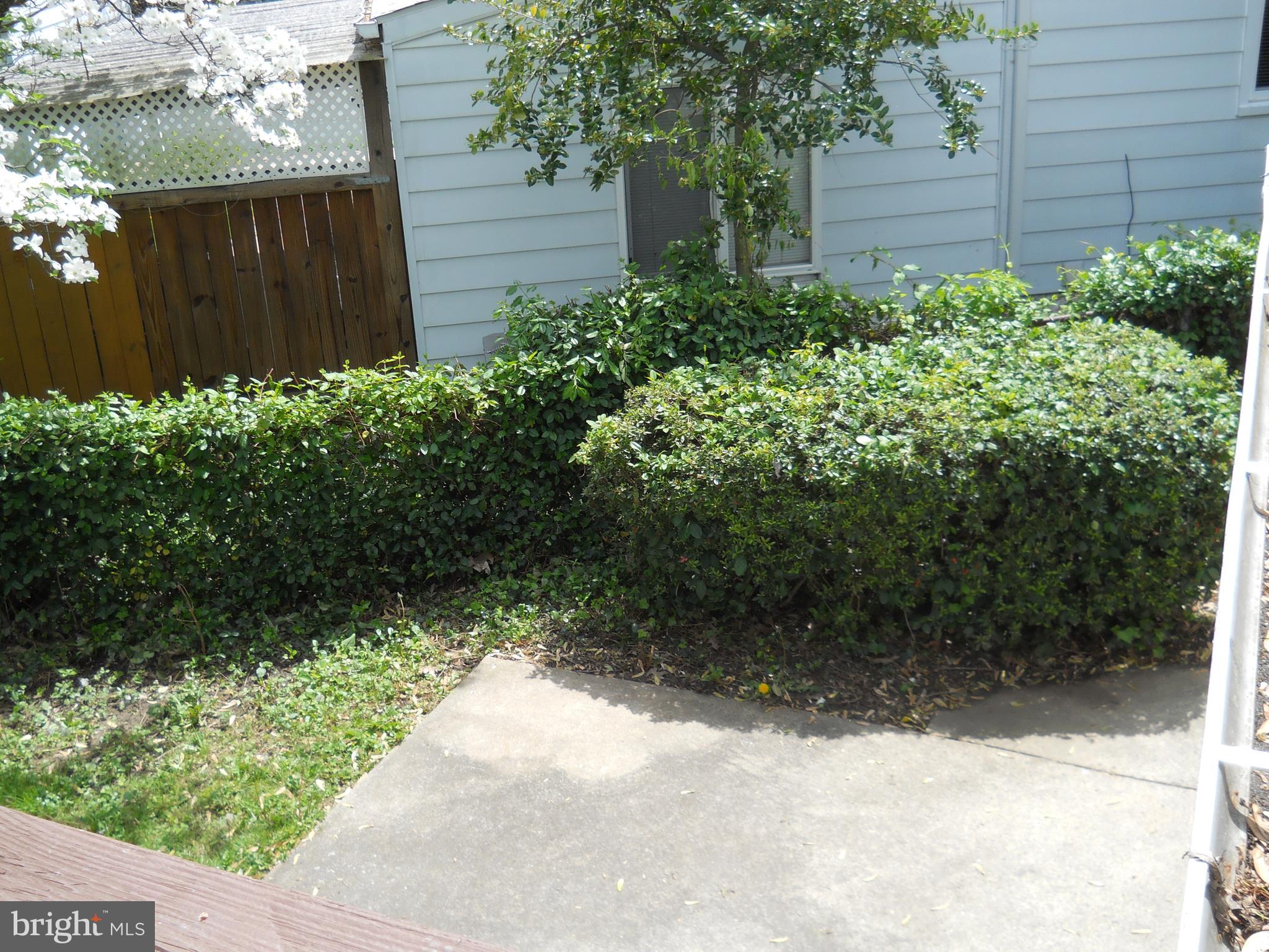 12323 Judson Road Silver Spring, MD 20906 - Photo 51 of 52 SIDE YARD