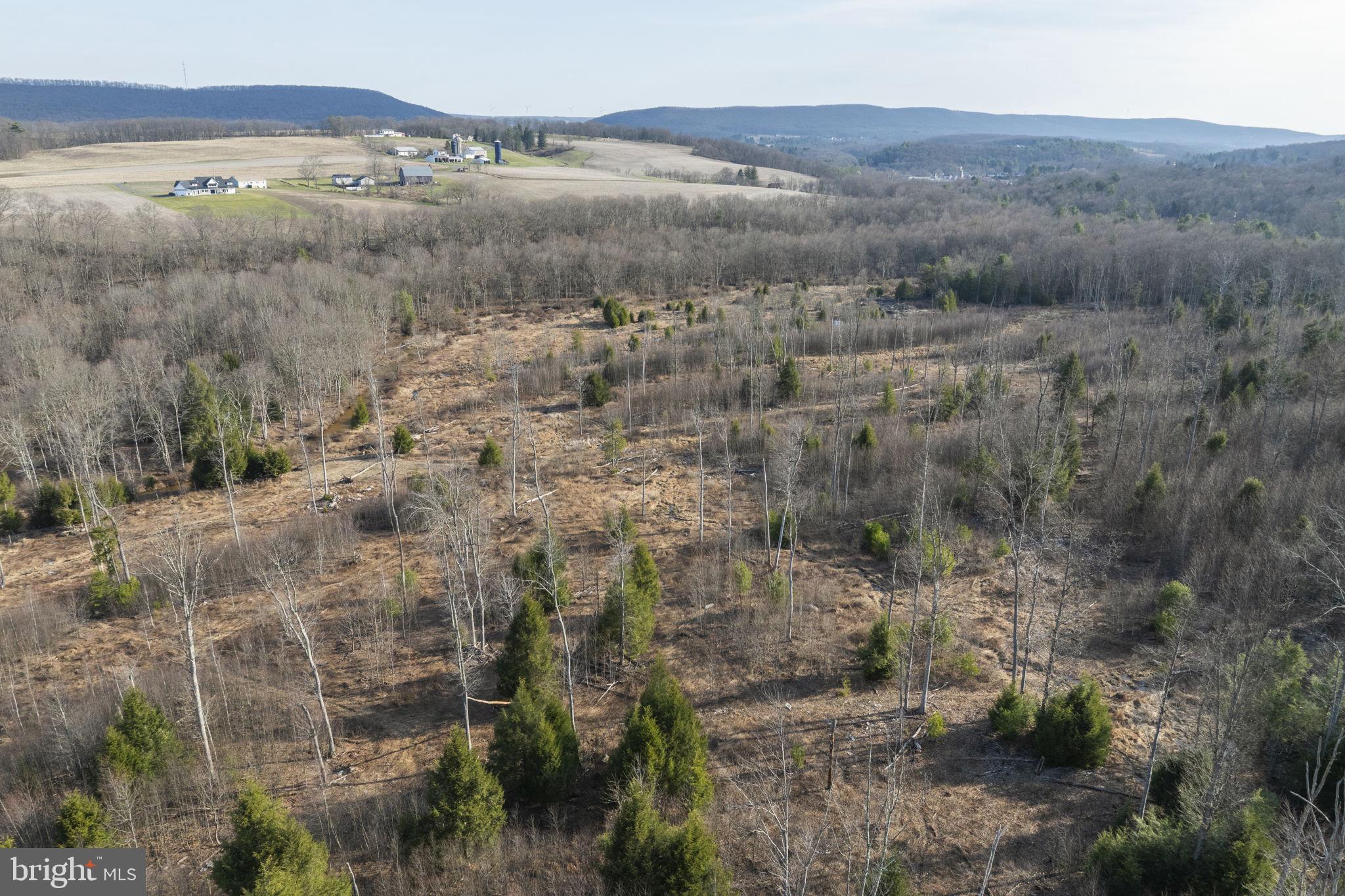 0 Airport Road Ashland, PA 17921 - Photo 14 of 20 Gallery Image 14