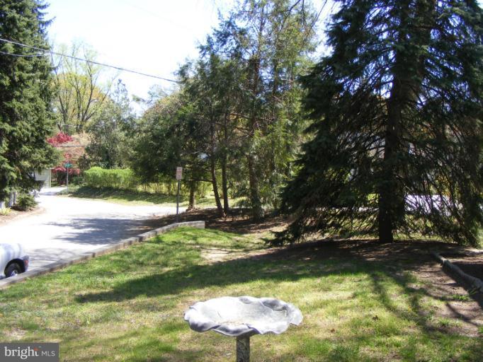 174 River Road Pasadena, MD 21122 - Photo 3 of 28 a view of a tree in a yard