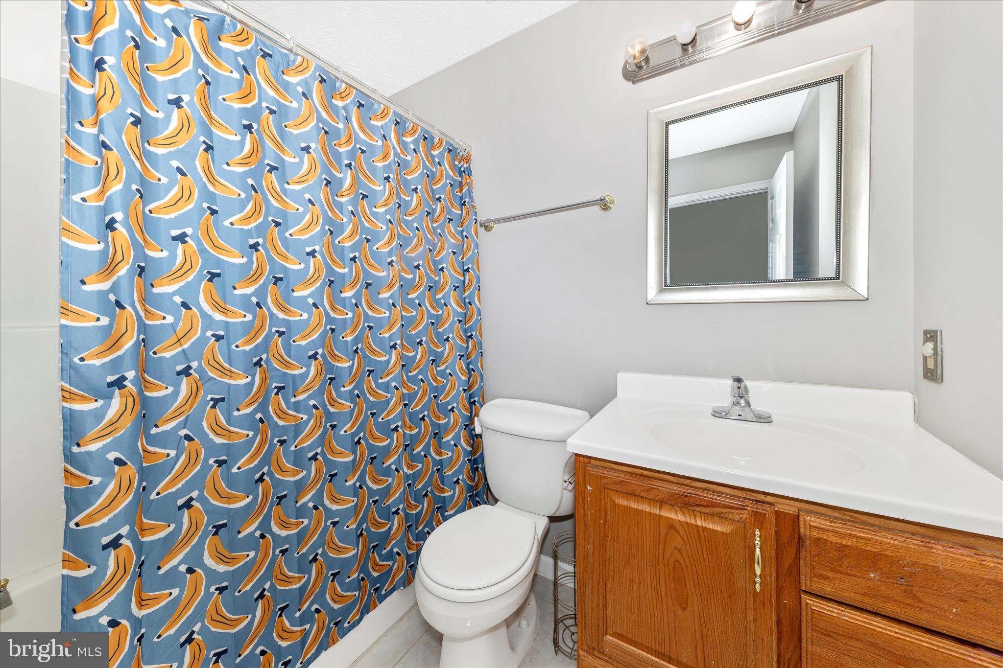 6776 Wood Duck Court Frederick, MD 21703 - Photo 23 of 36 Hall Bath