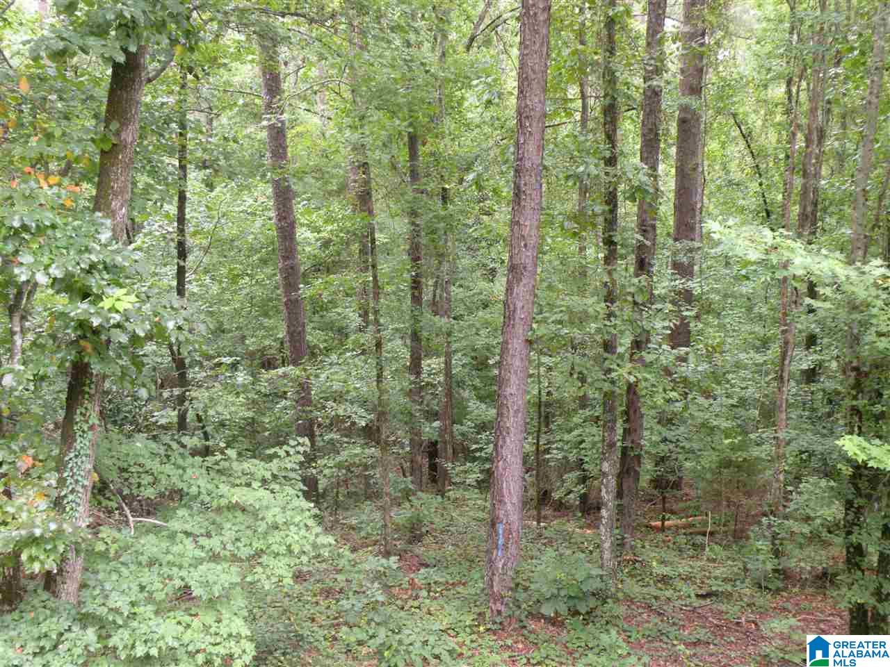 1100 Pine Ridge Circle Sylacauga, AL 35150 - Photo 35 of 35