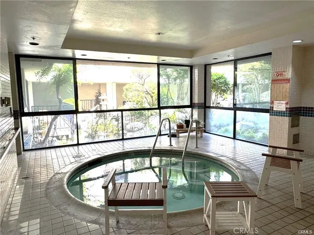 a view of a garden with a bunch of plants and flowers