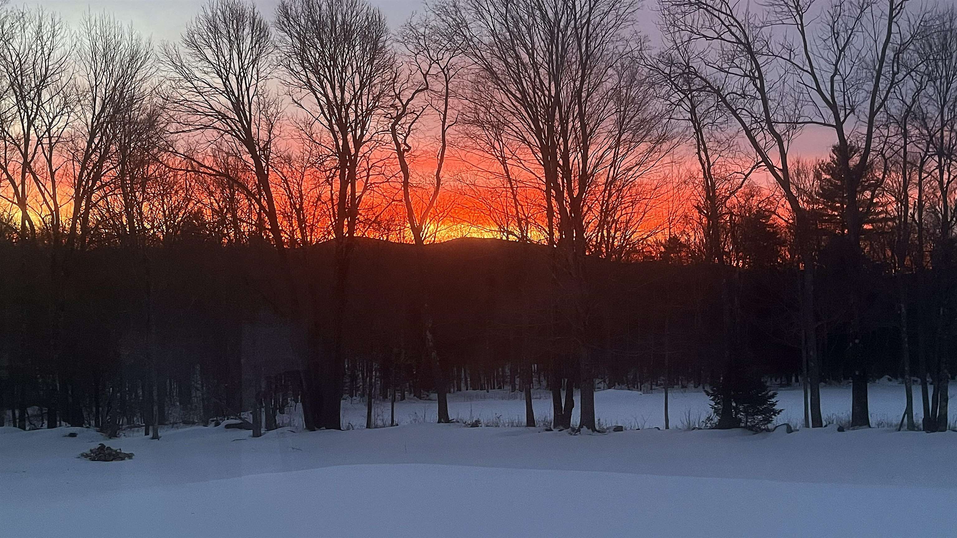 929 Packer Road Mount Holly, VT 05742 - Photo 57 of 58