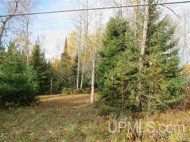 15781 Skanee Road Lanse, MI 49946 - Photo 8 of 17 Gallery Image 8
