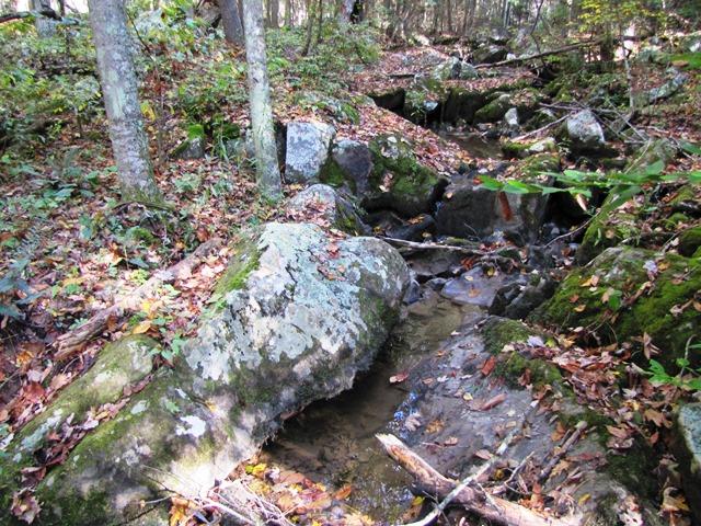 Laurel Creek Road Wayside, WV 24985 - Photo 17 of 28 Gallery Image 17