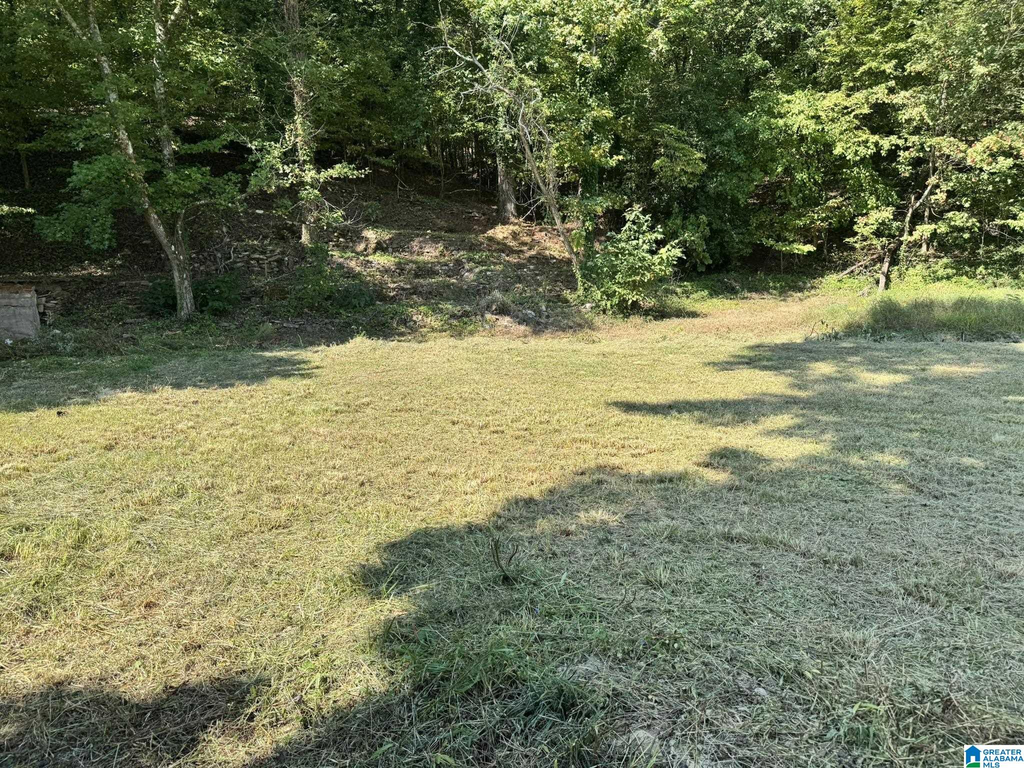 15 Sunset Strip, Unit 5 Oneonta, AL 35121 - Photo 1 of 10