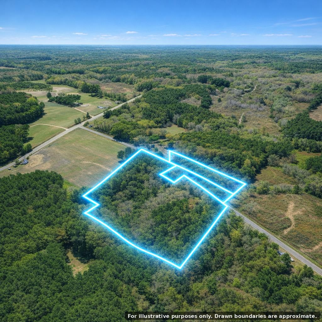 40.8 Acres Johnson Bridge Road Ariton, AL 36311 - Photo 7 of 10