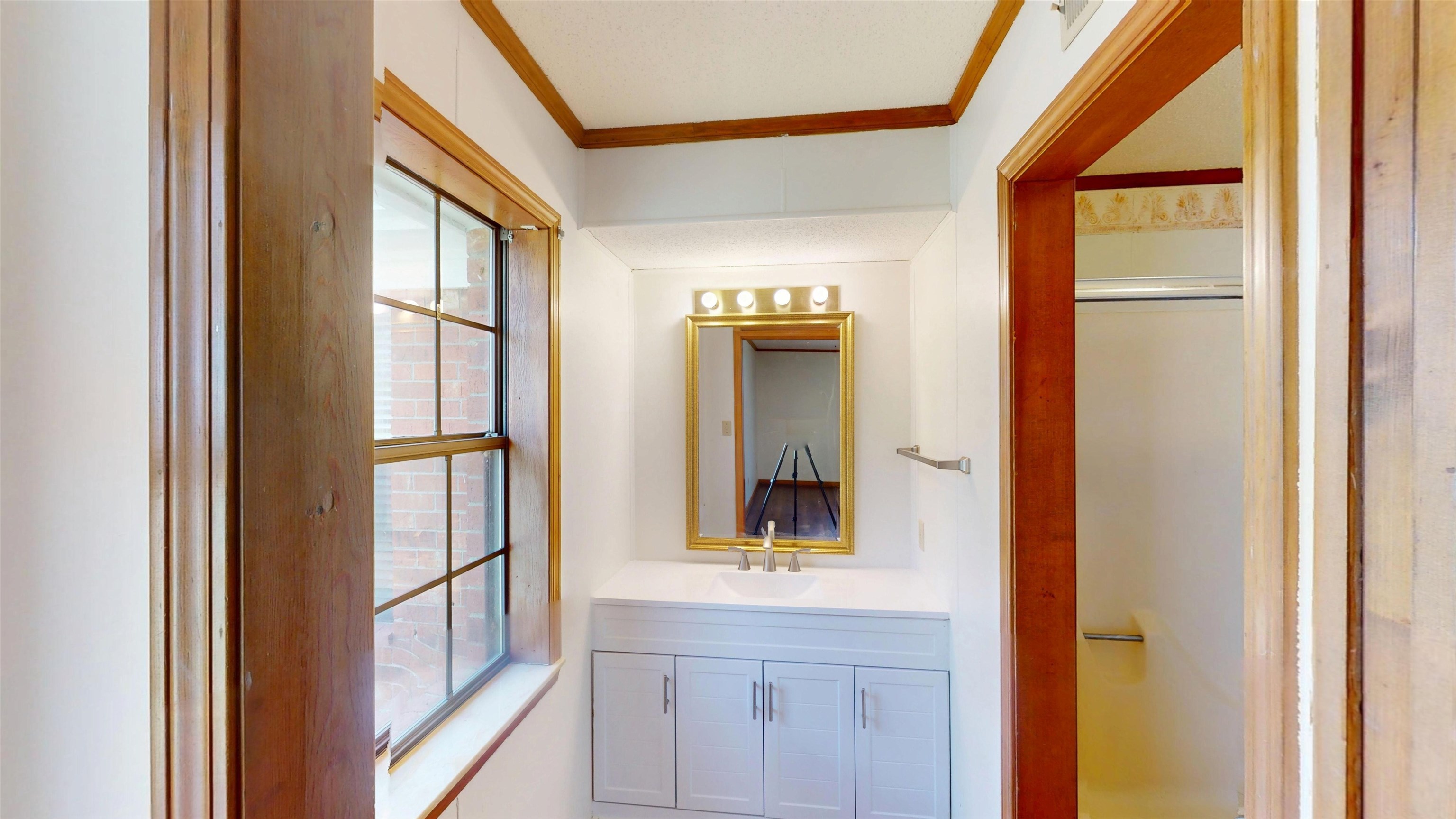 4800 Highway 196 Piperton, TN 38017 - Photo 26 of 37 a bathroom with a sink and a mirror