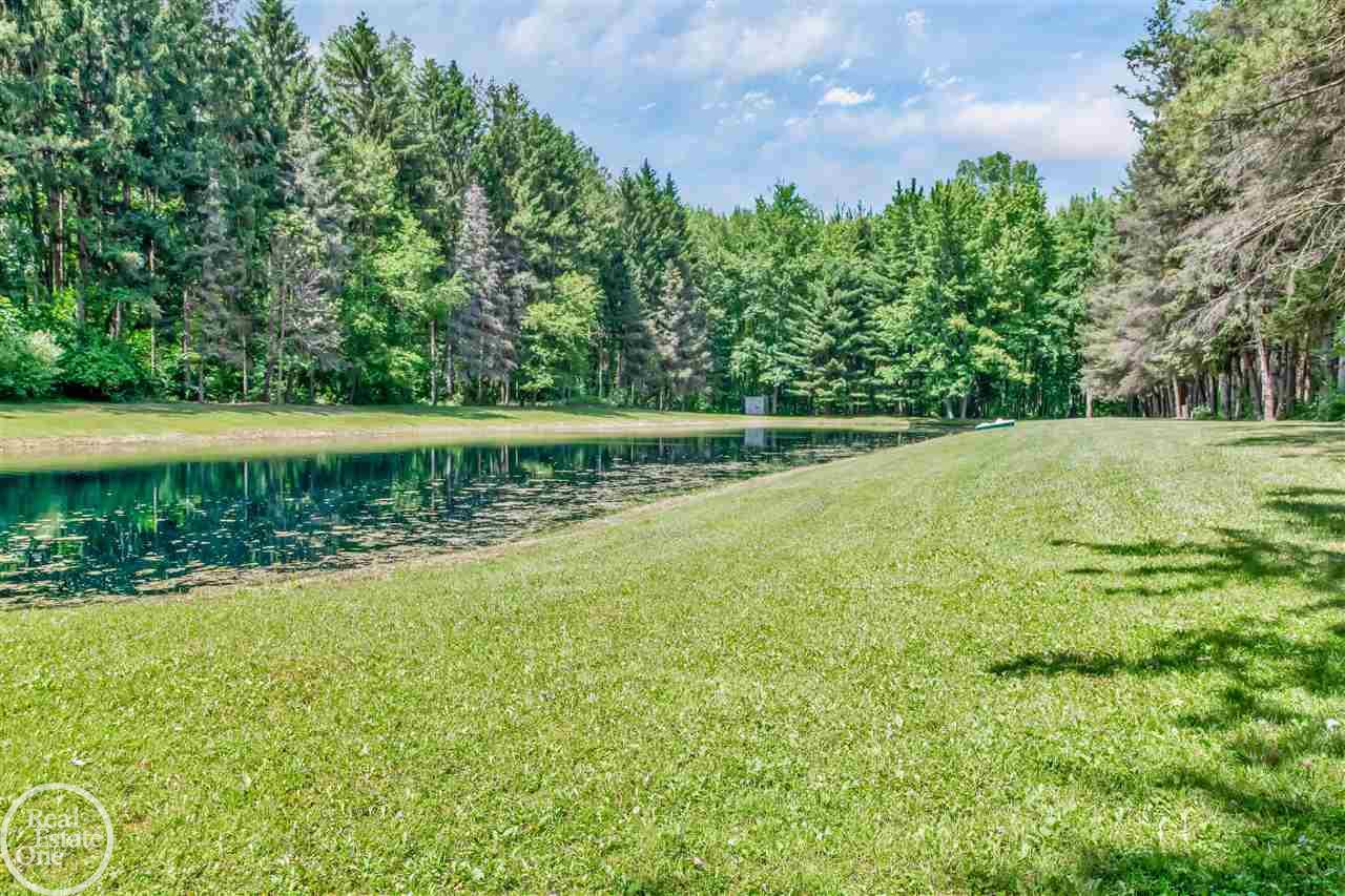2594 Palms Road Columbus, MI 48063 - Photo 50 of 53 50082898-49.JPG