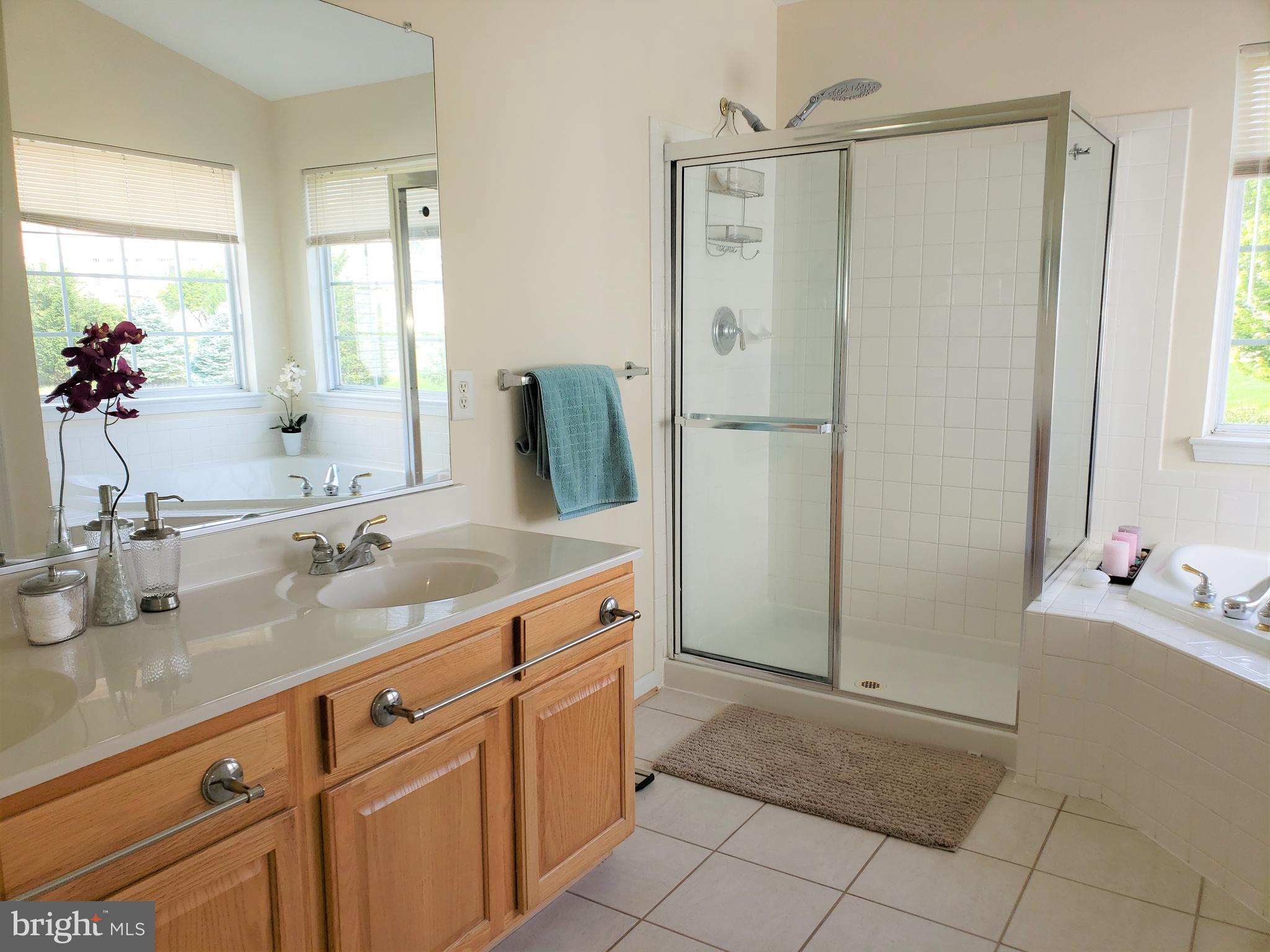 14409 Autumn Gold Road Boyds, MD 20841 - Photo 23 of 45 Master bathroom