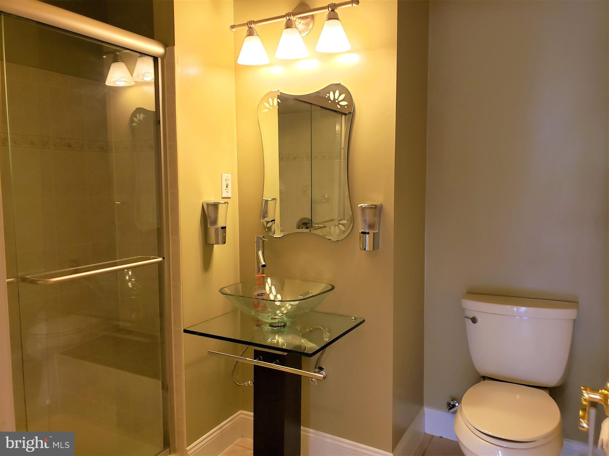 14409 Autumn Gold Road Boyds, MD 20841 - Photo 38 of 45 Full bathroom in the basement